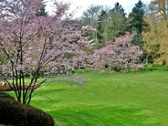 149 PARC ORIENTAL DE MAULEVIER MAINE ET LOIRE 2016 N0_000043